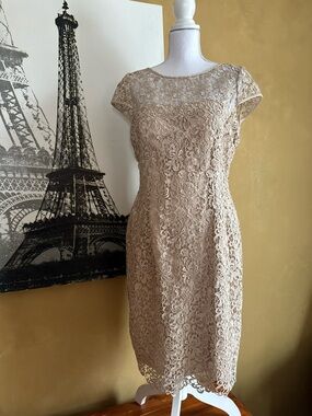 Adrianna Papell Lace Sheath Dress in Champagne Beige 12